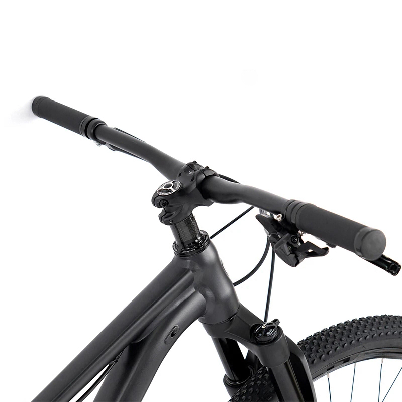 27.5 or 29 Inch 13 Speed Alumi - Mountain Biking Jumps 评论和价格