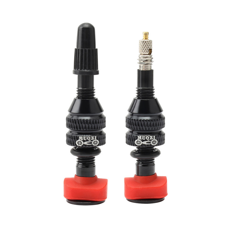 MTB Mountain Bike Presta Valve - Mountain Biking In French 评论和价格