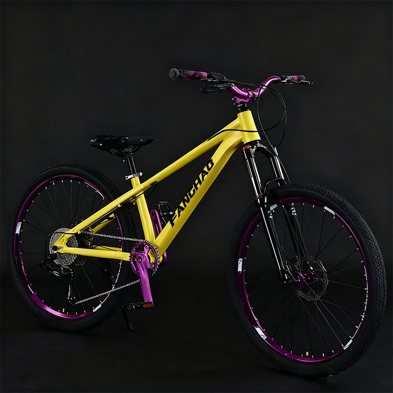 Dirt Jump 26 Inch Lightweight  - Mountain Biking Jumps 评论和价格