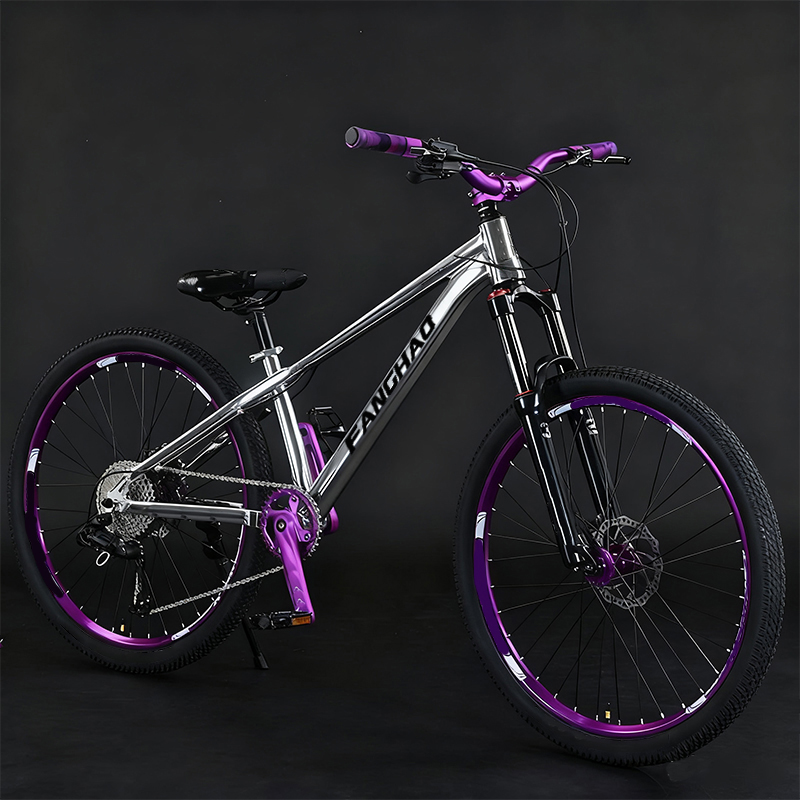 Dirt Jump 26 Inch Lightweight  - Mountain Biking Jumps 评论和价格