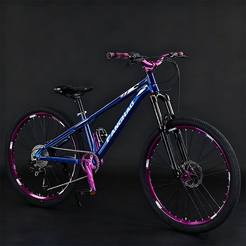 Dirt Jump 26 Inch Lightweight  - Mountain Biking Jumps 评论和价格
