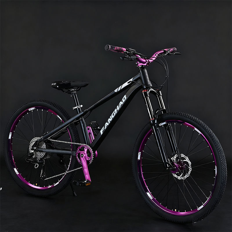 Dirt Jump 26 Inch Lightweight  - Mountain Biking Jumps 评论和价格