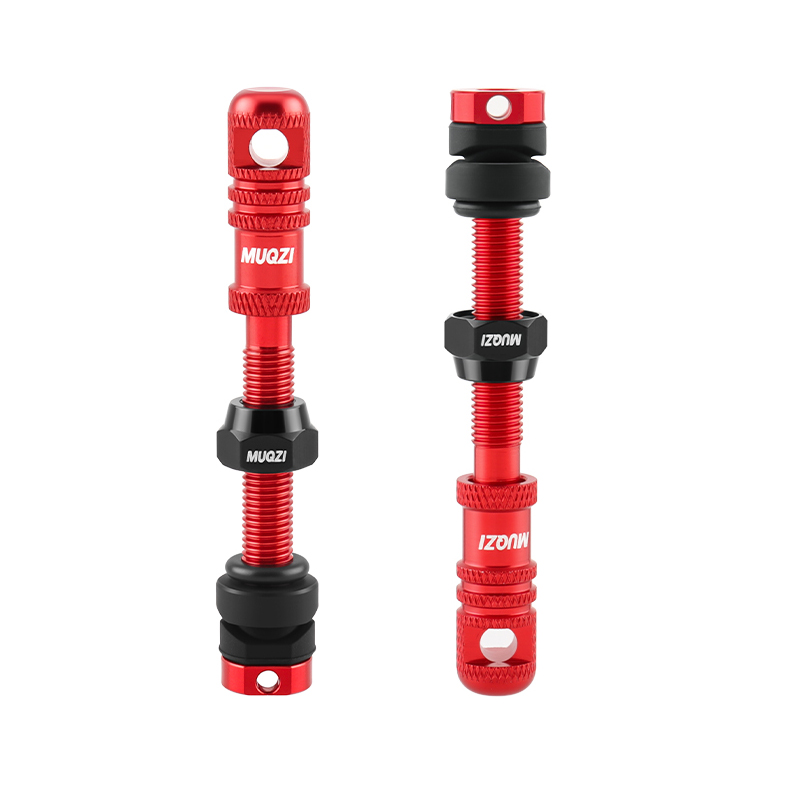 Alloy Bike Tubeless Presta Val - Mountain Biking In French 评论和价格